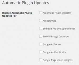 Automatic Plugin Updates